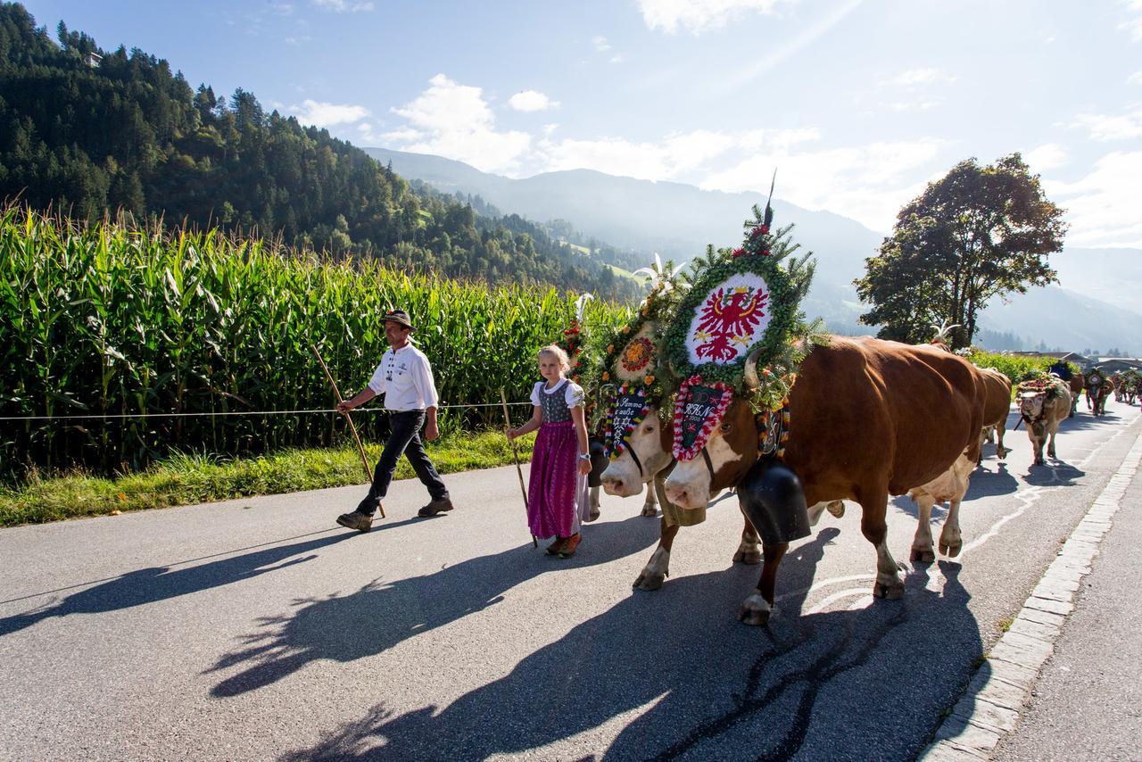 Apart Sprenger Fugen Im Zillertal Lejlighed Eksteriør billede